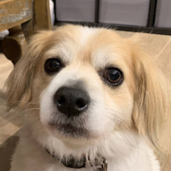 Meet your Posher, Candice - Picture 1 of 1